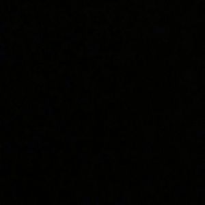 Meet your Posher, Braelyn